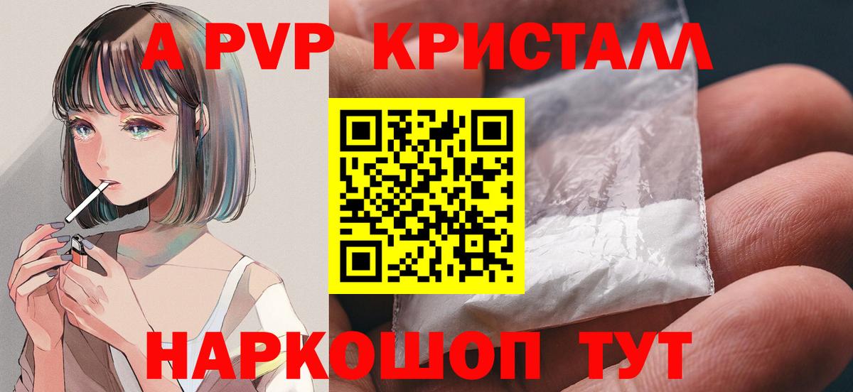 Альфа ПВП СК КРИС Ноябрьск