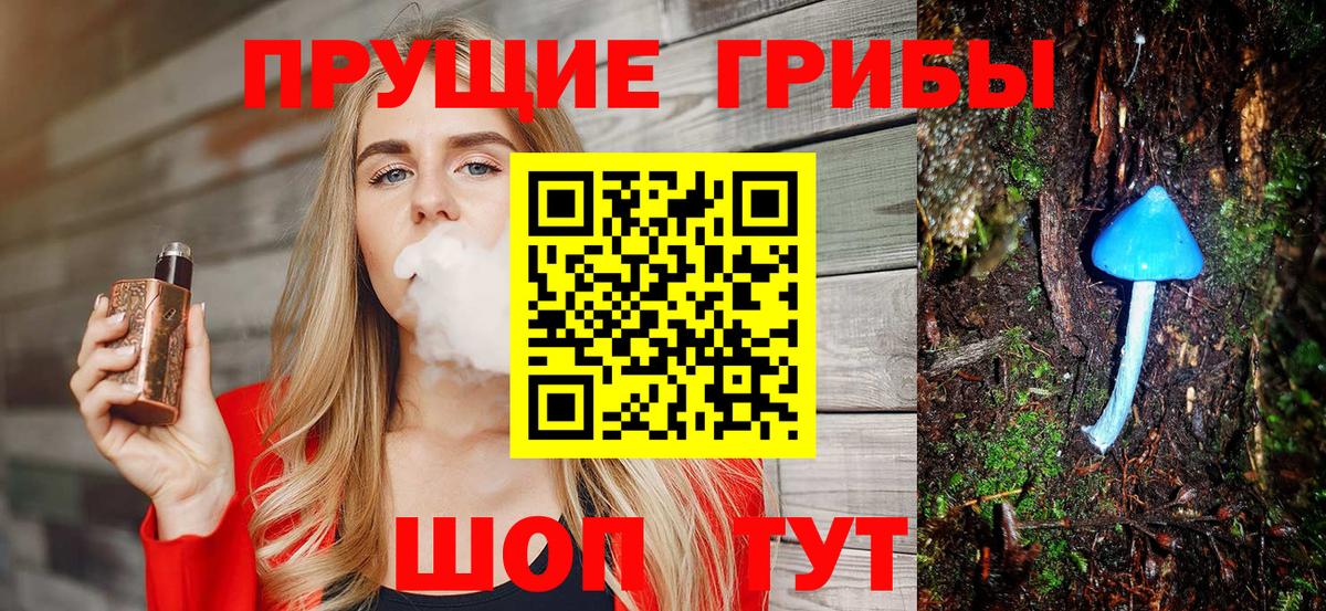 Псилоцибиновые грибы Cubensis  Вход с VPN  Ноябрьск  Псилоцибиновые грибы Cubensis 